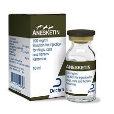 Anesketin Injection